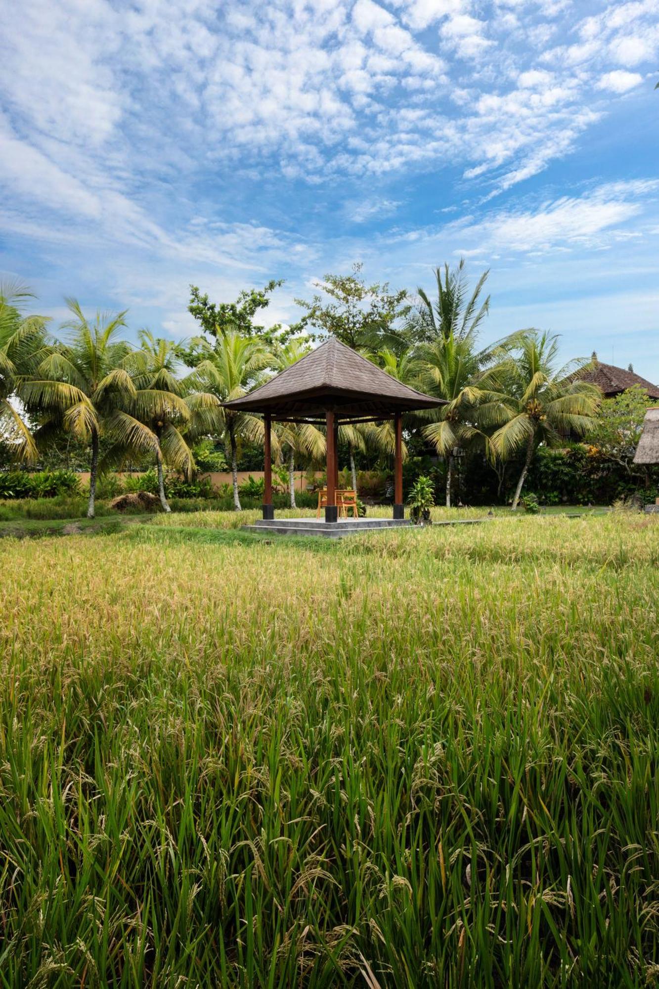 Svarga Bebek Villas 乌布 外观 照片